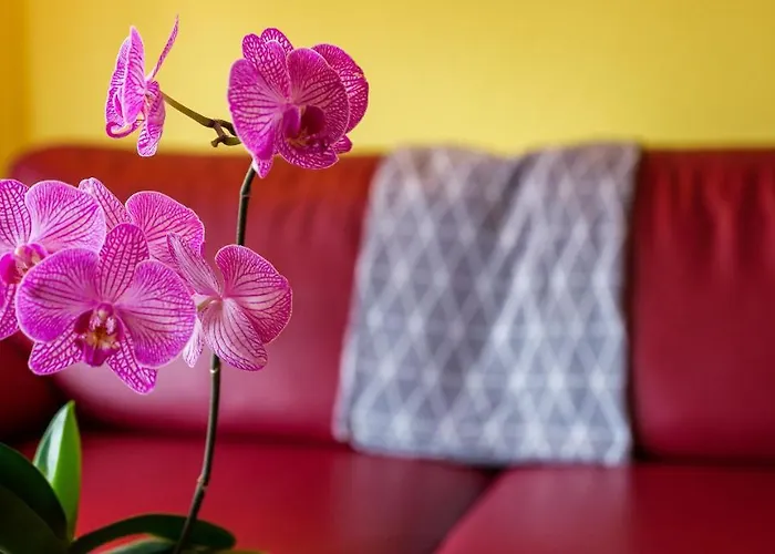 Aba-sporting House * Лойкербад