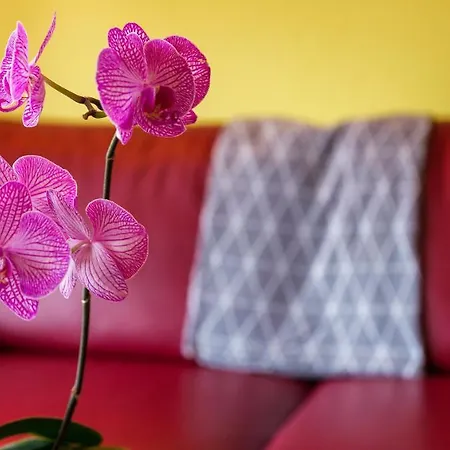 Aba-sporting House * Leukerbad